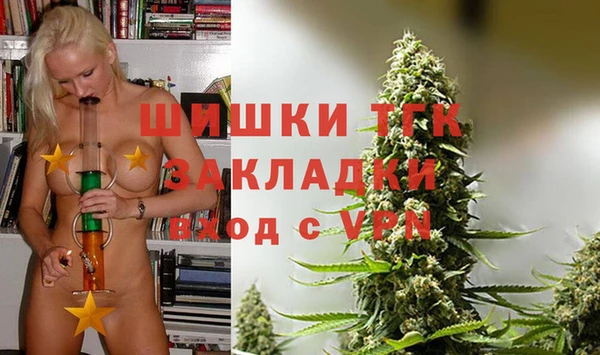 индика Аркадак