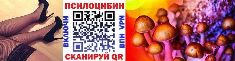 Галлюциногенные грибы мицелий  МЕГА ONION  Талица 